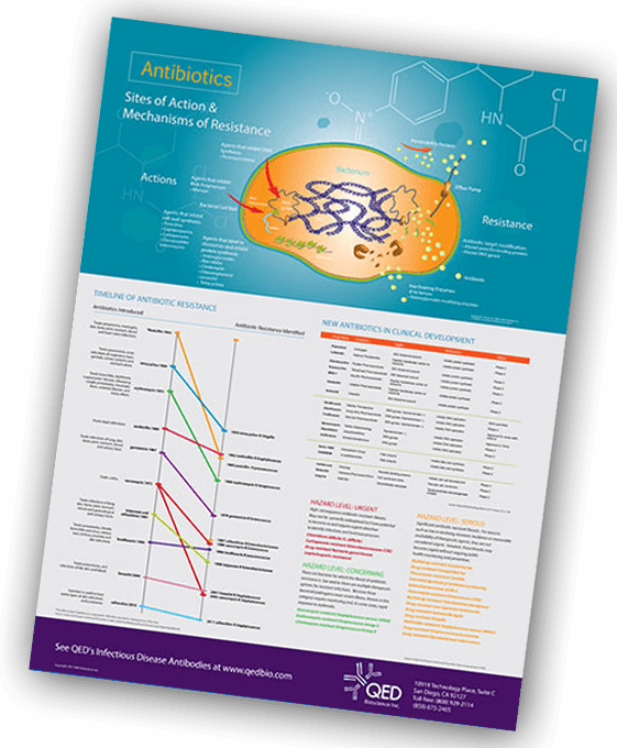 Get A Free Infectious Disease Antibody Research Poster - QED Bioscience, Inc