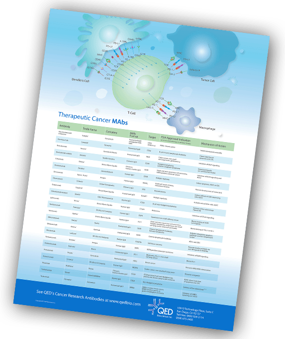 Get A Free Therapeutic Cancer MABs Poster - QED Bioscience, Inc